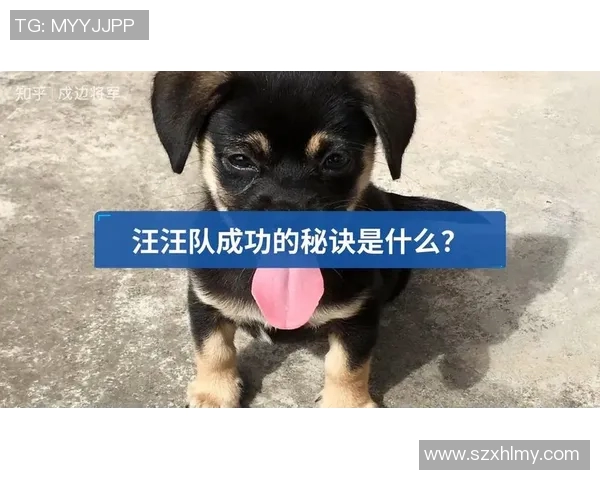 武汉足球队防反战术解析:深度剖析其成功背后的秘密与策略 武汉足球队防反战术解析:深度剖析其成功背后的秘密与策略